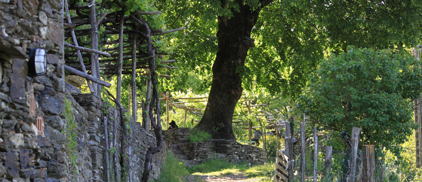 chambre-hotes-cevennes3.jpg